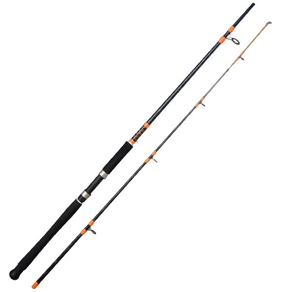 C Line STRONGER H-Cast 10' 300cm  80-150g (CL91145)