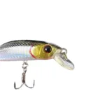 photoroom_20250607_092602-3