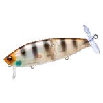 gsbg 1