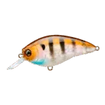 F1215-GSAY L-BASS SHAD 60SP 60mm