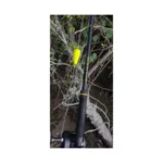 bc-00005532_u-floattree_main-Photoroom