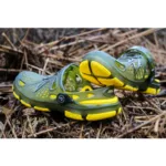 bc-00009310_catclogs_main-Photoroom