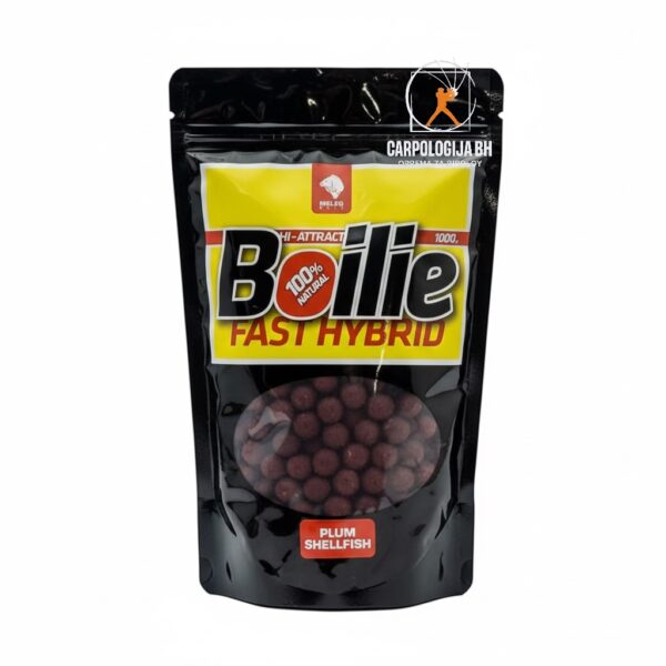 MELEG Fast Hybrid 1kg 14mm - Plum Shellfish